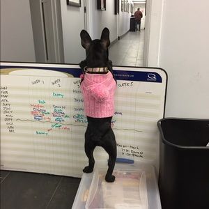 Meet your Posher, Kim